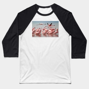 Lesser Flamingos Flypast #1 Baseball T-Shirt